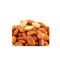 Finest Quality factory direct selling natural opened afghan pine nuts for export